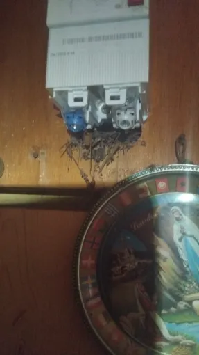 Attention à vos anciennes installations électriques : un danger potentiel, Saint-André, Elec Connexion